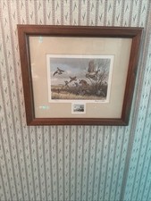quail limited for sale  Sedalia