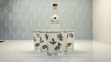 Frosted libbey shooter for sale  Wyckoff