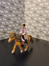 Schelich shetland pony for sale  SWADLINCOTE