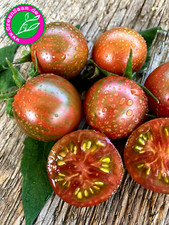 Tomatensamen artisan purple gebraucht kaufen Tomatensamen artisan purple gebraucht kaufen  Tittmoning