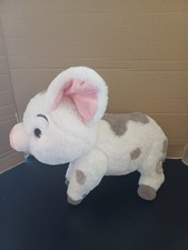 Pua pig moana for sale  CARRICKFERGUS