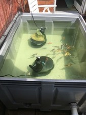 fish holding tanks for sale fish holding tanks for sale BIRMINGHAM