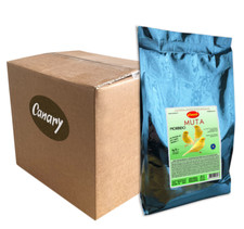 Canary pastoncino muta usato  Bevagna