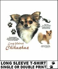Long hair chihuahua for sale  Cape Coral