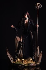 Phicen limited figur gebraucht kaufen  Langwedel