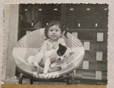 Cute japanese girl for sale  Springfield