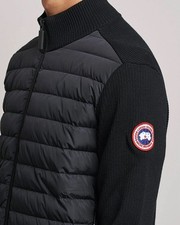 black goose canada jacket for sale black goose canada jacket for sale MIDDLESBROUGH
