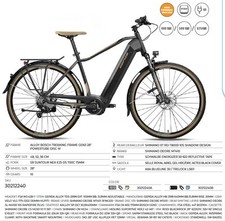 elettrica pedalata assistita usato elettrica pedalata assistita usato Ferrara