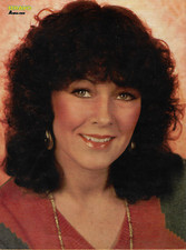 Bravoposter abba anna gebraucht kaufen  Bruckberg
