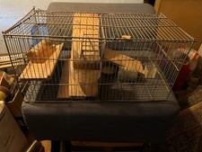 Cage rongeurs hamsters d'occasion  Dammarie-les-Lys