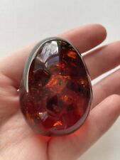 insects amber for sale  SWINDON