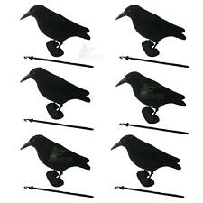 Flocked crow rook for sale  BRISTOL