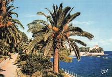 Beaulieu mer baie d'occasion  France