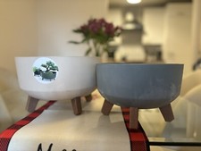 Set low planter for sale  RICHMOND