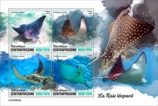 2024 central africa d'occasion  Brunoy