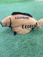Free spirit carp for sale  SHEFFIELD