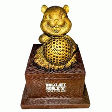 Holey moley golf for sale  Houston