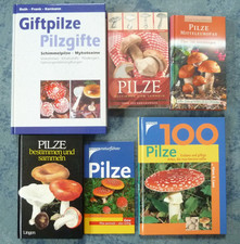 Pilze sammeln bestimmen gebraucht kaufen  Metzingen