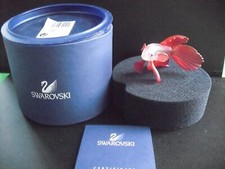 siamese fighting fish for sale siamese fighting fish for sale SHEERNESS