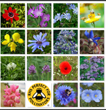 Wild flower 100 for sale  UK