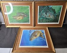 Framed fish wildlife for sale  Wheeling