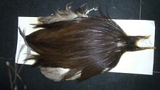 Metz grade dark for sale  Sisters