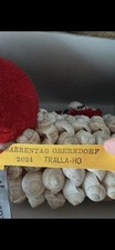 Fasnet elzach rottweil gebraucht kaufen  Waldkirch