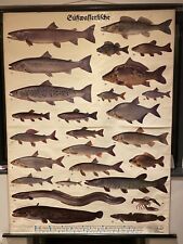 Large vintage 1935 for sale  LEEDS