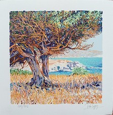 Pino cappugi serigrafia usato  Roma