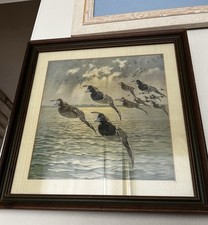 Framed vintage lynn for sale  Shenandoah