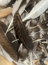 chicken feathers for sale  Lawrence