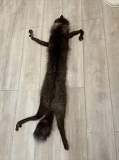 Silver fox soft for sale  Hackensack