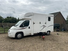 3.5ton horse box for sale  THETFORD