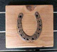 Hufeisen holzschild pferdefans gebraucht kaufen  Mehring