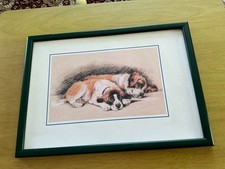 st bernard puppies for sale st bernard puppies for sale GRANTHAM