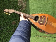 Ancien instrument musique d'occasion  Joinville