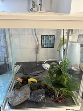 Boyu litre aquarium for sale  CANTERBURY