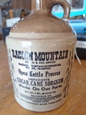Vintage racoon mountain for sale  Paragonah
