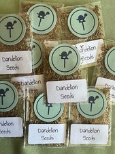 Dandelion seeds tortoises for sale  LEEDS