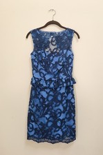 Blue lace lily for sale  West Chester