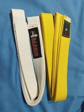 Lotto cinture karate usato  Napoli