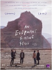 Elephant sitting still d'occasion  Clermont-Ferrand-