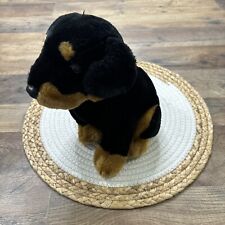 Fiesta rottweiler dog for sale  Warwick
