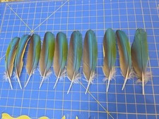 Z186 lot blue for sale  Hill City