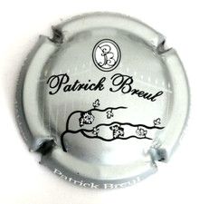 Capsule champagne patrick d'occasion  Vertus