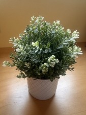 Plastic plant ceramic for sale  WELWYN