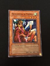 Comune principessa tsurugi usato  Breno