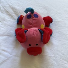 Tolo oink pig for sale  NORTHAMPTON