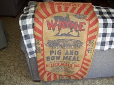 sow pig for sale  Stanford