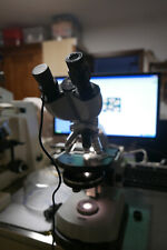 Microscopio zeiss usato usato  Luserna San Giovanni